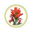 eci-paintbrush