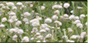 sidebar_20-over
