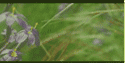 sidebar_21