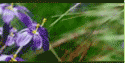 sidebar_22-over