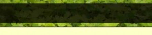subpage-top_03